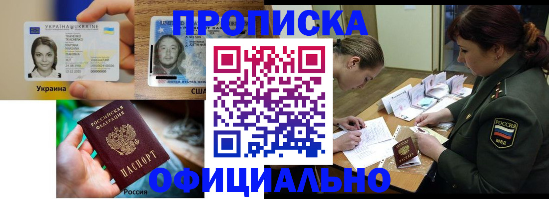 временная регистрация поиск в Щёлково